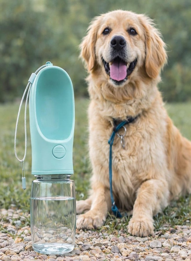 Estervig زجاجة ماء للكلاب من إسترفيج سعة 350 مل مانعة للتسرب مع غطاء للوعاء، كوب شرب محمول للحيوانات الأليفة، خفيف الوزن، مناسب للسفر، سهل الاستخدام بيد واحدة، خالٍ من مادة BPA (متعدد الألوان). - Image 4